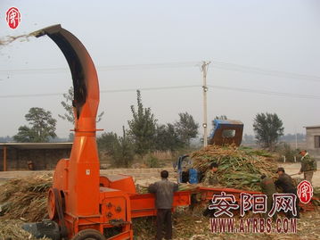 搶抓農(nóng)時促轉(zhuǎn)化，市畜牧局多措并舉推廣秸稈青貯飼料助力畜牧漁業(yè)降本增效