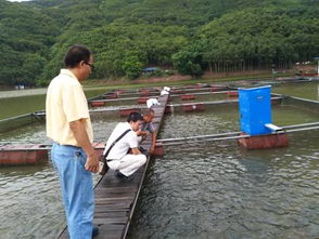 科技賦能促發(fā)展 云南省淡水漁業(yè)產(chǎn)業(yè)體系營養(yǎng)與飼料崗位團(tuán)隊(duì)赴墨江專題調(diào)研